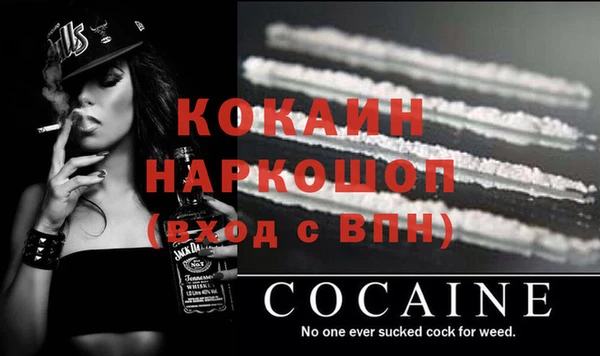 тгк Няндома
