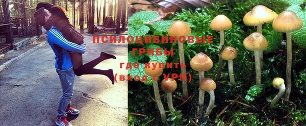 метадон Абаза