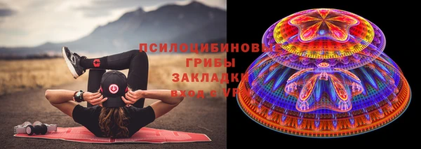 стаф Абдулино